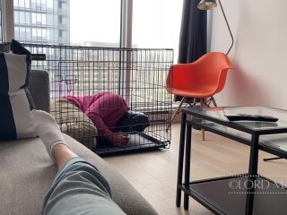 online xxx clip 14 Lord Maria - Introducing The Slave To Its Cage - watching - femdom porn superb femdom-7