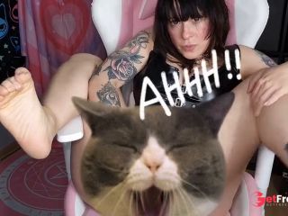 [GetFreeDays.com] ASMR PUSSY SOUNDS MOANING MASTURBATION FEET UP Sex Clip December 2022-7