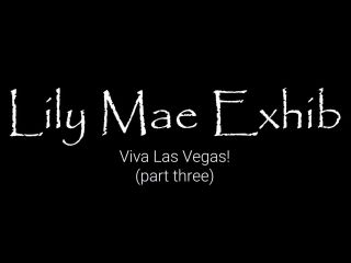 free online video 48 mandy dee femdom femdom porn | LilyMaeExhib – Viva Las Vegas Part Three | exposed-9