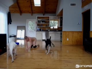 rachel Greyhound - Floor Scrubbing + Cage Build (118.75 Mb,-4