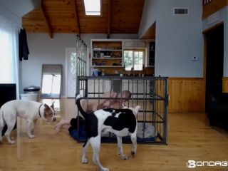 rachel Greyhound - Floor Scrubbing + Cage Build (118.75 Mb,-9