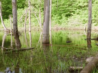 Brooke Johnson - Sadistic Kayaking - Blowjob-1