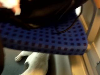 RoBder-Ficker - Blowjob in der Bahn von heiber 18 jahriger-6