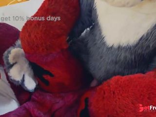 [GetFreeDays.com] this cute gray bunny fucks horny female wolf Murrsuit Porn Porn Video July 2023-9