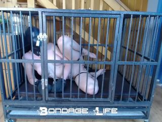 free porn clip 15 Bondage Life – Cage Time With Clamps Rachel Greyhound on femdom porn free cfnm femdom-8