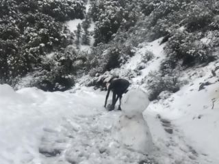 BondageLife - Snow Day (Latex Edition) - Rachel Greyhound(Fetish porn)-7