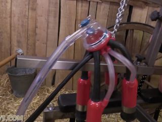 porn clip 34 lyra law femdom femdom porn | Lisa back to the barn [Full HD 933.2 MB] | milking machine-9