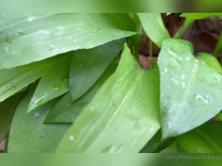 Lily LaBeau () Lilylabeau - rainy day fun in the forest ails des ours translates to garlic of bears an 01-04-2022-0