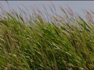 Diane Kruger - Tout nous separe (2017) HD 720p!!!-0