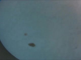 Betty-Baxter - OMG - Unterwasser cumshot  - sex - german amateur russian photo-6