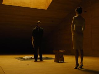 Sallie Harmsen - Blade Runner 2049 (2017) HD 1080p - (Celebrity porn)-9