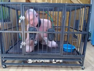 adult xxx video 41 BondageLife – Cage Time With Greyhound | bondagelife | bdsm porn jessie rogers bdsm-3