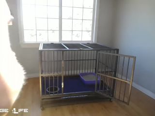 online xxx video 5 BondageLife – Preparing The Cage Rachel Greyhound on fetish porn german fetish porn-9