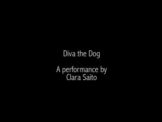 DIVA_the_Dog_-_trailer-8