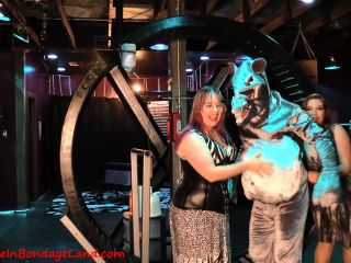 Hamster Wheel From Hell - FemDom Pet Play Sadistic Humiliation-1