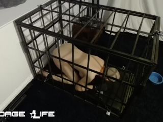 free video 46 BondageLife – Cage Time With Greyhound (Owner Edition) - rachel greyhound - bdsm porn kelly divine bdsm-9