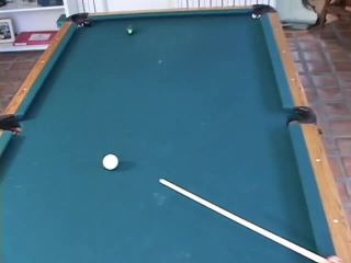 online xxx video 12 Pool Shark | alexis malone | cumshot best fetish porn-0