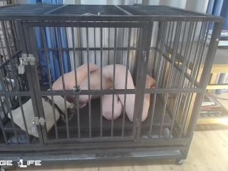 adult xxx video 15 Bondage Life – Cage Time With Greyhound – Rachel Greyhound on bdsm porn porn tickling bdsm-6