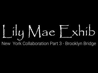 online adult clip 38 amateur swinger videos brunette girls porn | LilyMaeExhib – New York Collaboration Part 3 Brooklyn Bridge | brunette-9