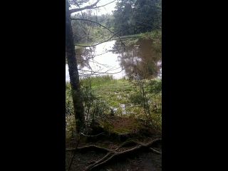 La Encuentro Sola En El Bosque Y Terminamos Fumando Y Follando En Públi-3