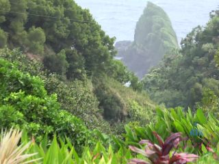 Virtual vacation in Hawaii with Yara Skye 7/11 – Video Porn Tube black -4