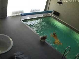 spy_home_pool-2