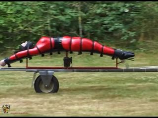 HouseofGord: Trussed and Transported - [Fetish porn]-9