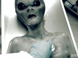 Horror Porn – Roswell Ufo-1