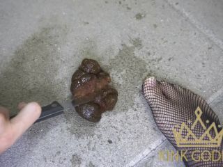 video 13 KinkGodess - Kinky and dangerous Shit  - kinky - solo female insect fetish-8