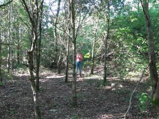 Miss Deep Misia aka Maskbj - Outdoor Blowjob in the Forest and Cum on ...-0