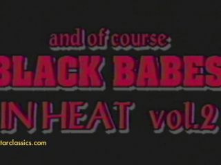 Black Bitches in Heat part2 12/30/2015 Hairy!-9