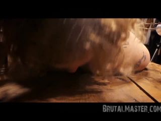 Porn online Brutal Master Pig – Barbed Wire Tiedown 2 (010316)-3