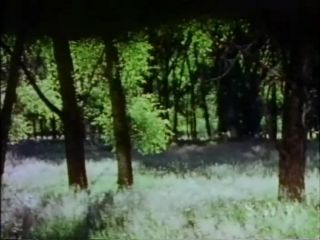 Virgin Forest (1978)!!!-5