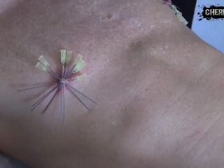 Nippleplay Extreme - 20 Needles In The Nipples-7