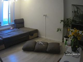 Voyeur - House - Guests Sex In Living Room 13-06-2024 Cam2 720P - Voyeur-6
