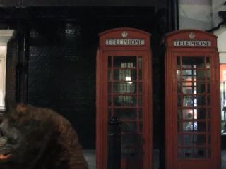 American Werewolf In London XXX featuring Sophie  Dee-8