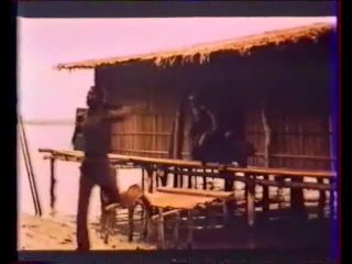 Les bachelières en chaleur/Jouisseuse et perverse 1982-5