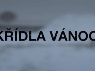 Vica Kerekes - Krídla Vanoc (2013) HD 720p!!!-6