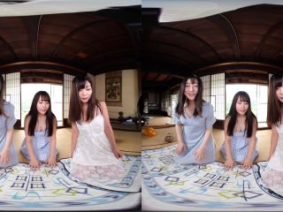 Virtual Dive: Country Life with Three Old Friends - (Virtual Reality)-2