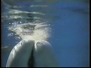 Sexunderwater.com- Bored Games - Vintage Porn-8